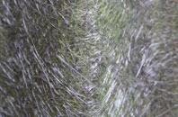 Fenlake fibreglass roof work