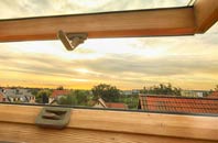 rated Fenlake roof window companies
